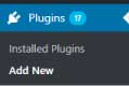 Download Plugin WordPress